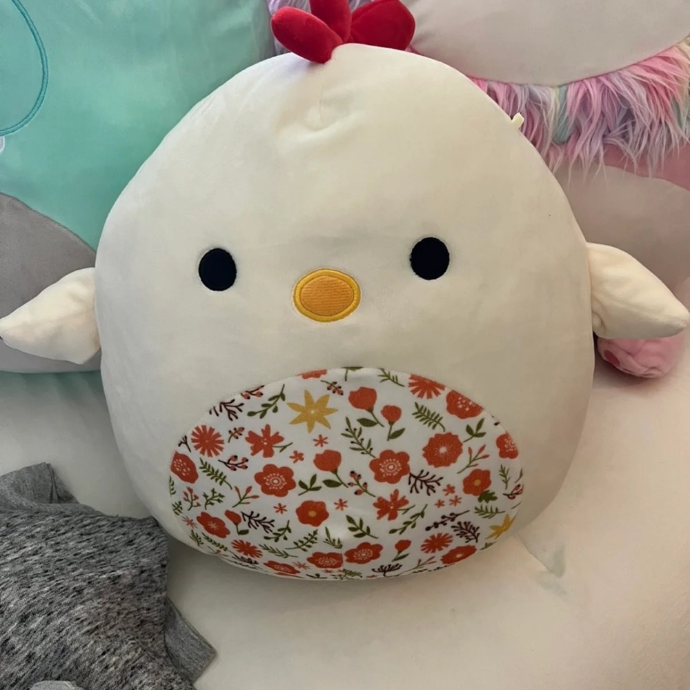 Charity the chicken